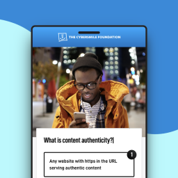 Cybersmile Module Content Authenticity