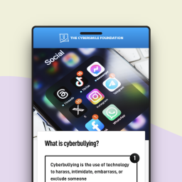 Cybersmile Module Cyberbullying Mental Health
