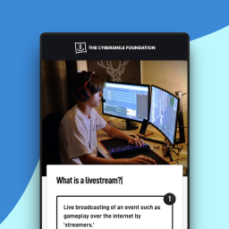Cybersmile Module Livestream Basics
